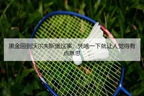 黑金回到沃尔夫斯堡这事，凭啥一下就让人觉得有点意思