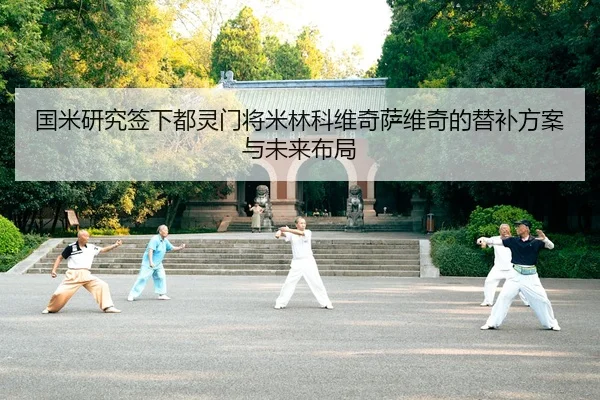 国米研究签下都灵门将米林科维奇萨维奇的替补方案与未来布局