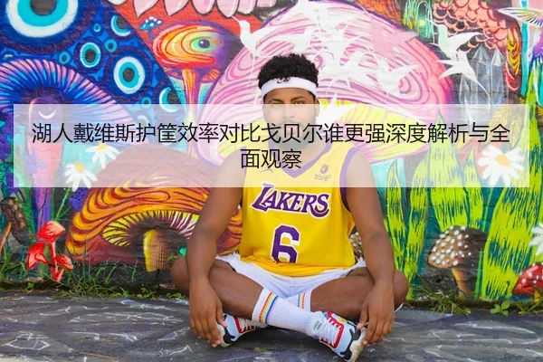 湖人戴维斯护筐效率对比戈贝尔谁更强深度解析与全面观察
