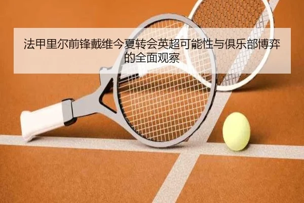 法甲里尔前锋戴维今夏转会英超可能性与俱乐部博弈的全面观察（kaiyun）